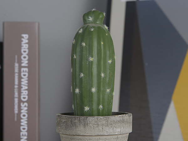 室内仿真植物墙的装饰功能